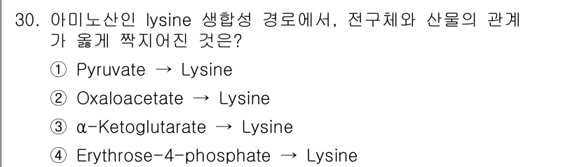 바이오화학제품제조기사 2021년 30번 - 정답은 2번, Oxaloacetate → Lysine입니다. Lysine... 에 관한 핵심 기출문제