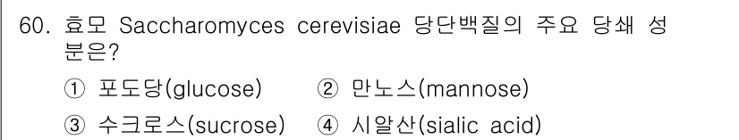 바이오화학제품제조기사 2021년 60번 - 효모 Saccharomyces cerevisiae 당단백질의 주요 당쇄 ... 에 관한 핵심 기출문제
