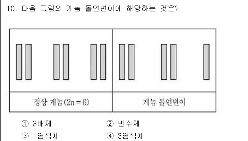 9급_국가직_공무원_재배학개론 2022년 10번 - 이 그림은 개념 돌연변이의 예시로, 정상 개체에서 2n=6인 경우 대칭이... 에 관한 핵심 기출문제