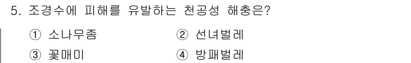 9급_국가직_공무원_조경학 2022년 5번 - 정답은 1번 소나무좀입니다. 소나무좀은 조경수에 피해를 주는 해충으로, ... 에 관한 핵심 기출문제