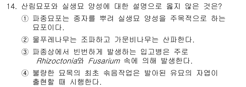 9급_국가직_공무원_조림 2022년 14번 - 4번이 정답인 이유는 불량한 묘목의 축적 속성이 유미오 채취에도 영향을 ... 에 관한 핵심 기출문제