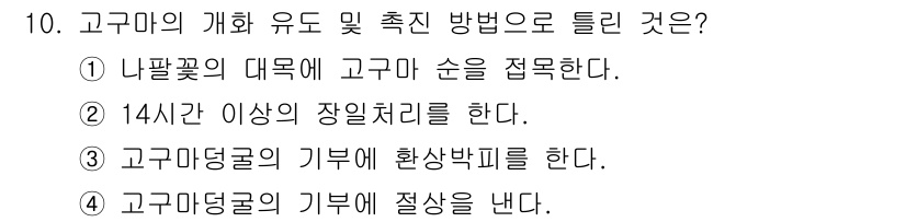 종자기사 2022년 10번 - . 

고구마의 가화 유도 및 촉진을 위해서는 14시간 이상의 장일처리를... 에 관한 핵심 기출문제