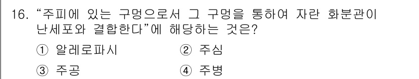 종자기사 2022년 16번 - 정답은 3. 주병입니다. '주피에 있는 구멍'은 주병에서 발생하는 구멍을... 에 관한 핵심 기출문제