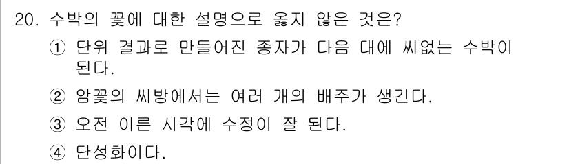 종자기사 2022년 20번 - . 수박의 꽃에 대한 설명으로 옳지 않은 것은 단위 결과로 만들어진 종자... 에 관한 핵심 기출문제