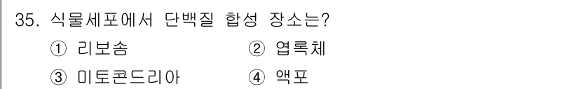 종자기사 2022년 35번 - 정답은 1번 리보솜입니다. 리보솜은 단백질 합성의 주체로, 아미노산을 결... 에 관한 핵심 기출문제