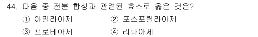 종자기사 2022년 44번 - . 포스포릴라제

포스포릴라제는 아밀라제와 함께 전분 합성에 관여하는 효... 에 관한 핵심 기출문제