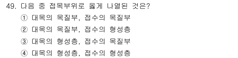 종자기사 2022년 49번 - 대목의 형성층은 각각의 가지와 잎을 형성하며, 접속의 형성층은 그늘로 인... 에 관한 핵심 기출문제
