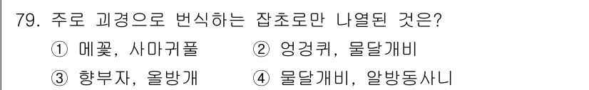 종자기사 2022년 79번 - 향부자와 올방개는 일반적으로 교배를 통해 새로운 품종이 생산될 수 있는 ... 에 관한 핵심 기출문제