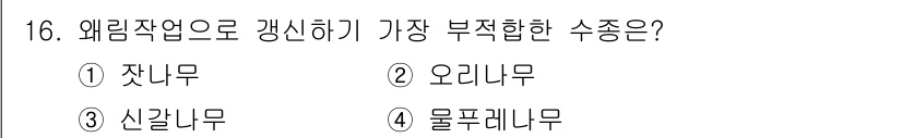 산림기사 2022년 16번 - 정답은 1번 잣나무입니다. 잣나무는 외림작업에서 쉽게 수형이 분리되고, ... 에 관한 핵심 기출문제