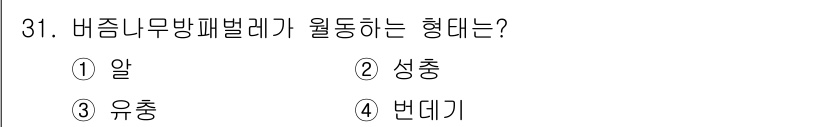산림기사 2022년 31번 - 정답은 2번 성충입니다. 바زه 아무벌레는 일반적으로 성충 상태에서 활동... 에 관한 핵심 기출문제