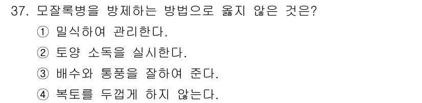산림기사 2022년 37번 - 모잘록병을 방지하기 위한 방법으로 "복토를 두껍게 하지 않는다"는 것이 ... 에 관한 핵심 기출문제