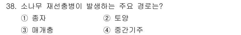 산림기사 2022년 38번 - 3. 매개충은 소나무 재선충병의 주요 전파 매개체로, 이 초목에 해를 끼... 에 관한 핵심 기출문제
