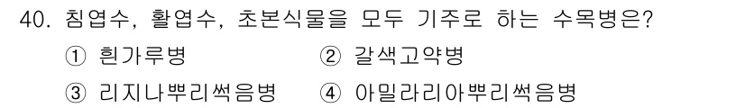 산림기사 2022년 40번 - . 아밀라리아빠리색음병.  
이 병은 침엽수, 활엽수, 초본식물에 모두 ... 에 관한 핵심 기출문제
