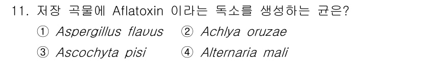 식물보호기사 2022년 11번 - Aflatoxin은 Aspergillus flavus에 의해 생성되는 독... 에 관한 핵심 기출문제