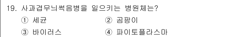 식물보호기사 2022년 19번 - 정답은 2번 곰팡이입니다. 곰팡이는 식물에 병해를 일으켜 사과겹무늬썩음병... 에 관한 핵심 기출문제