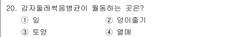 식물보호기사 2022년 20번 - 정답은 2번 '딩이줄기'입니다. 감자돌려썩음병은 주로 딩이줄기에서 발생하... 에 관한 핵심 기출문제