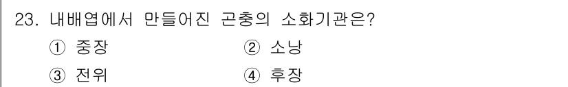 식물보호기사 2022년 23번 - 정답은 1번 중장입니다. 내배엽에서 생성되는 구조물로는 중장의 주요 역할... 에 관한 핵심 기출문제