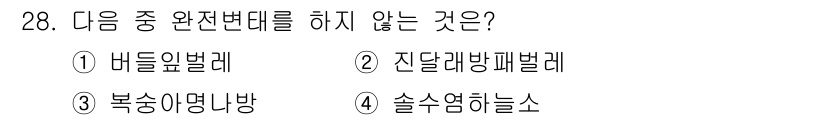 식물보호기사 2022년 28번 - 진단계방폐벌레는 식물병과 관련된 해충이 아니라, 주로 곤충의 생활사와 생... 에 관한 핵심 기출문제