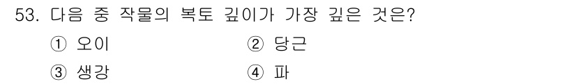 식물보호기사 2022년 53번 - . 

생강은 뿌리형태로 자생하며 깊은 뿌리 시스템을 형성해 수분과 영양... 에 관한 핵심 기출문제