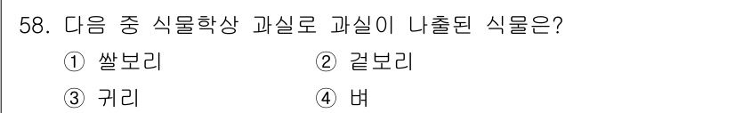 식물보호기사 2022년 58번 - 정답은 1번 쌀보리입니다. 쌀보리는 식물학적으로 포도과에 속하는 곡물로,... 에 관한 핵심 기출문제