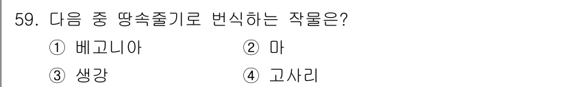 식물보호기사 2022년 59번 - 정답은 3번 생강입니다. 생강은 땅속줄기로 번식하는 식물로, 그늘에서 주... 에 관한 핵심 기출문제