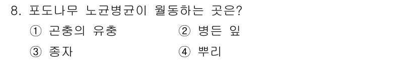 식물보호기사 2022년 8번 - . 병든 잎

포도나무 노균병균은 주로 노균병을 유발하며, 이는 병든 잎... 에 관한 핵심 기출문제