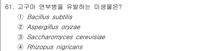 식품안전기사 2022년 61번 - 고구마 연부병은 주로 Rhizopus nigricans에 의해 유발됩니다... 에 관한 핵심 기출문제