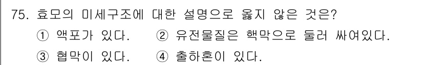식품안전기사 2022년 75번 - 3번의 '혈흔이 있다'는 효모의 미세구조와 관련된 설명으로 적절하지 않습... 에 관한 핵심 기출문제