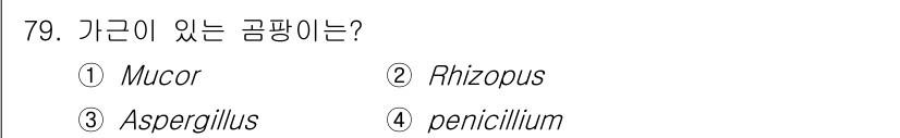 식품안전기사 2022년 79번 - 정답은 2번 Rhizopus입니다. Rhizopus는 가루곰팡이로, 일반... 에 관한 핵심 기출문제