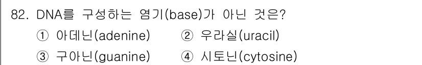 식품안전기사 2022년 82번 - DNA를 구성하는 염기(base)는 아데닌, 구아닌, 사이토신, 티민의 ... 에 관한 핵심 기출문제