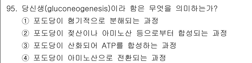 식품안전기사 2022년 95번 - 당신생(gluconeogenesis)은 포도당 생성 과정을 의미한다. 주... 에 관한 핵심 기출문제