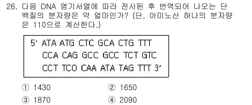 바이오화학제품제조기사 2022년 26번 - DNA 염기서열에서 전사 후 번역되는 단백질의 아미노산 수를 계산하기 위... 에 관한 핵심 기출문제