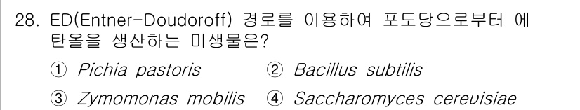 바이오화학제품제조기사 2022년 28번 - 정답은 3번 Zymomonas mobilis입니다. ED 경로(Entne... 에 관한 핵심 기출문제