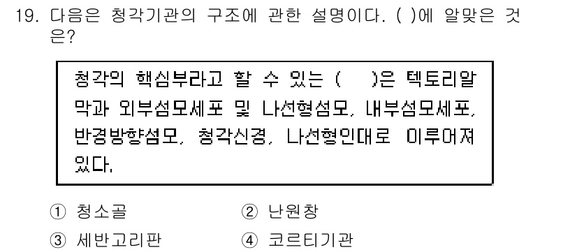 소음진동기사(구) 2021년 19번 - 정답 4인 "코르트기관"은 청각의 핵심 구조 중 하나로, 소리를 감지하고... 에 관한 핵심 기출문제