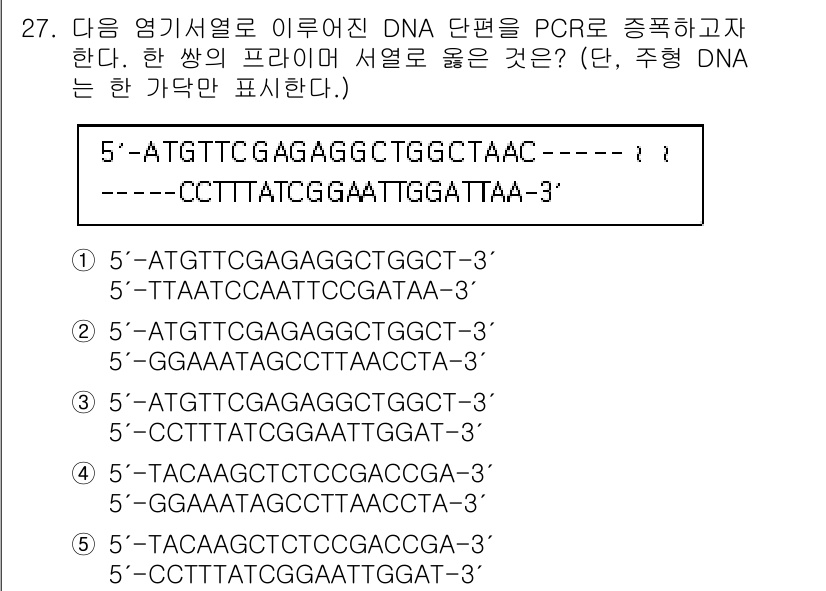 변리사_1차(3교시) 2022년 27번 - 주형 DNA 서열에서 PCR로 증폭된 DNA가 포함된 프라이머가 주형의 ... 에 관한 핵심 기출문제