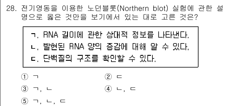 변리사_1차(3교시) 2022년 28번 - 노던 블롯은 특정 RNA 분자의 존재와 그 크기를 확인하기 위해 사용되는... 에 관한 핵심 기출문제