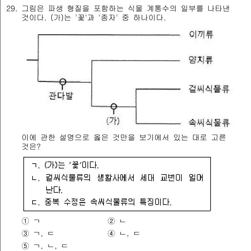변리사_1차(3교시) 2022년 29번 - .  

‘꽃’은 식물에서 생식기관을 포함한 형태로, 광합성 작용 및 생... 에 관한 핵심 기출문제
