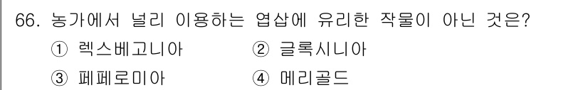 손해평가사 2022년 66번 - 정답은 4. 메리골드입니다. 메리골드는 주로 관상식물로 재배되며, 농업에... 에 관한 핵심 기출문제
