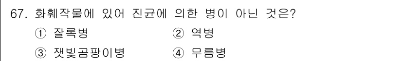 손해평가사 2022년 67번 - 정답은 4번 무름병입니다. 무름병은 화훼작물에 해당하는 질병이 아니며, ... 에 관한 핵심 기출문제
