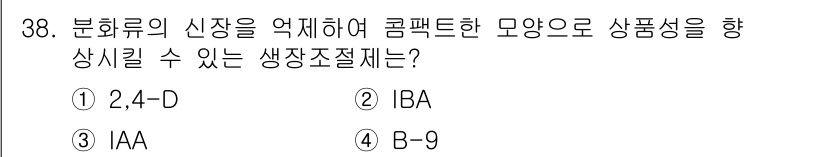 농산물품질관리사_1차 2022년 37번 - 정답은 ② IBA입니다. IBA(Indole-3-butyric acid)... 에 관한 핵심 기출문제