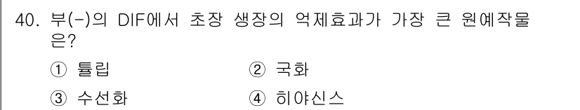 농산물품질관리사_1차 2022년 39번 - . 히아신스

히아신스는 주로 물에서 성장하며, 물 속에서의 산소 소비가... 에 관한 핵심 기출문제