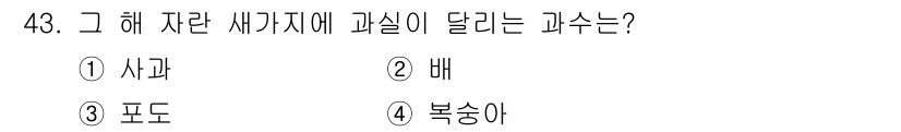 농산물품질관리사_1차 2022년 42번 - 정답은 3번 포도입니다. 이는 포도가 자란 새가지가 나무의 다양한 부위에... 에 관한 핵심 기출문제