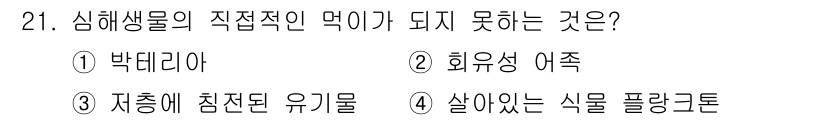해양환경기사 2022년 21번 - 살아있는 플랑크톤은 자가 생명체로서 해양 생태계에서 중요한 역할을 하며,... 에 관한 핵심 기출문제