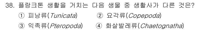 해양환경기사 2022년 38번 - 정답은 1번, 피낭류(Tunicata)입니다. 피낭류는 몸체가 투명한 외... 에 관한 핵심 기출문제