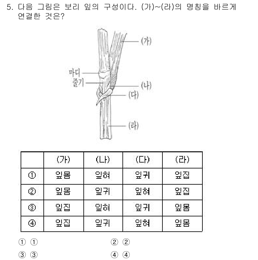 9급_지방직_공무원_식용작물 2022년 5번 - (가)~(라)의 구조는 식물의 생리학적 특성과 연관되어 있으며, (가)에... 에 관한 핵심 기출문제