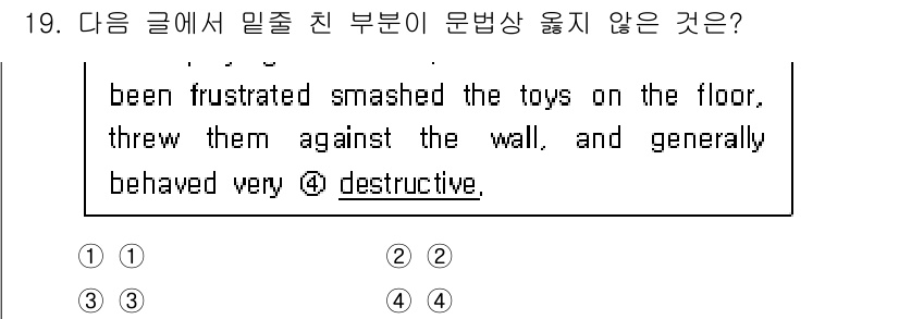 계리직공무원_컴퓨터_일반 2022년 19번 - 정답 4번은 "에너지 넘치는(energetic)"이라는 표현이 문맥과 어... 에 관한 핵심 기출문제