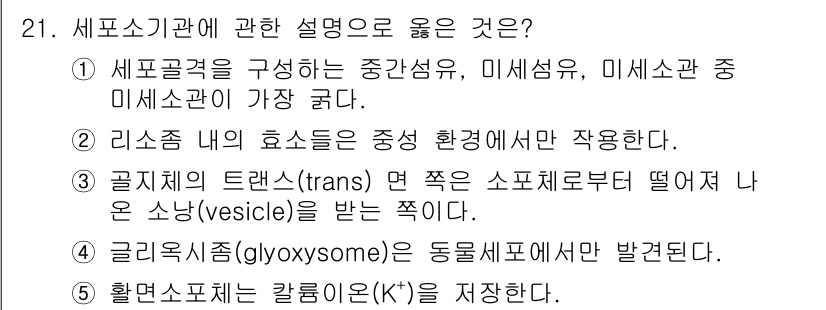 변리사_1차(3교시) 2023년 21번 - . 세포골격은 중간섬유, 미세섬유, 미세소관으로 구성되어 있으며, 이 구... 에 관한 핵심 기출문제