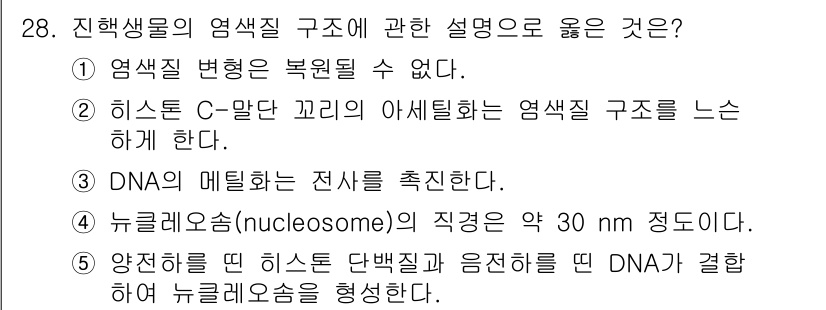 변리사_1차(3교시) 2023년 28번 - 히스톤은 DNA와 결합하여 뉴클레오솜을 형성하며, 이는 진핵세포의 염색체... 에 관한 핵심 기출문제