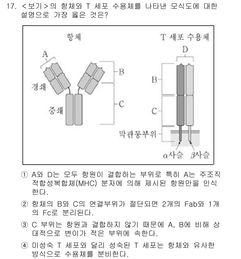 9급_지방직_공무원_서울시_생물 2022년 17번 - B 세포의 단백질 구조는 Fab와 Fc 부분으로 나뉘어 있으며, 항체는 ... 에 관한 핵심 기출문제