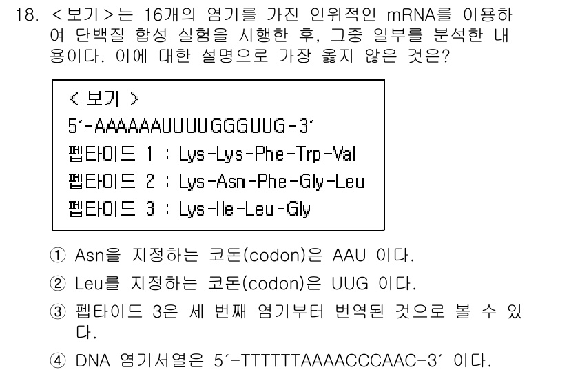9급_지방직_공무원_서울시_생물 2022년 18번 - 정답 4번이 맞는 이유는 DNA 서열이 mRNA 번역 본래 바이오 프로세... 에 관한 핵심 기출문제